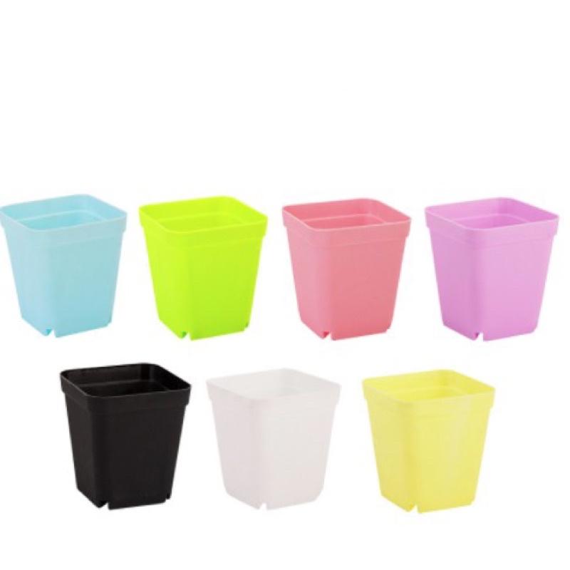 Chậu nhựa trồng cây nhỏ nhiều màu thích hợp trồng sen đá, tai thỏ, xương rồng để bàn làm việc