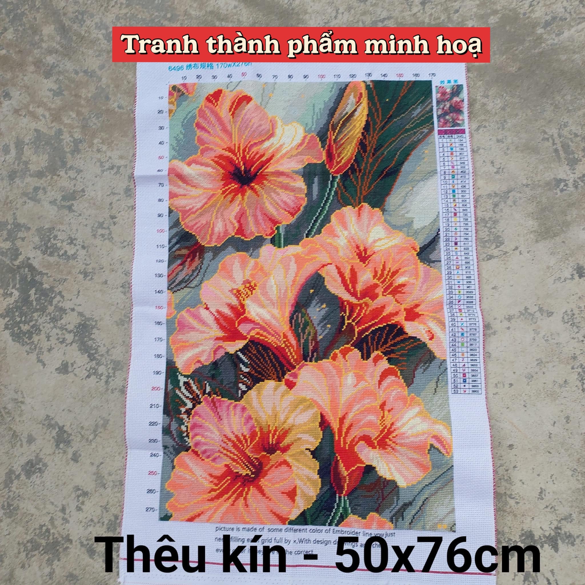 Tranh thêu kín chữ thập Hoa đồng tiền 6496, kích thước 50 x 70 cm