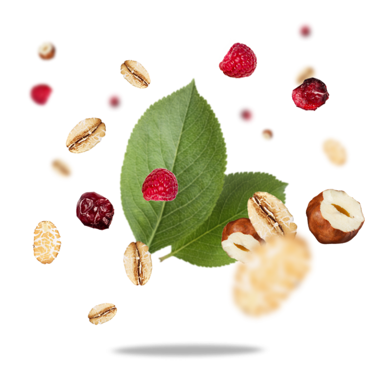 Ngũ Cốc Giòn Muesli Berry Hữu Cơ 350g Sottolestelle Organic Muesli Berries