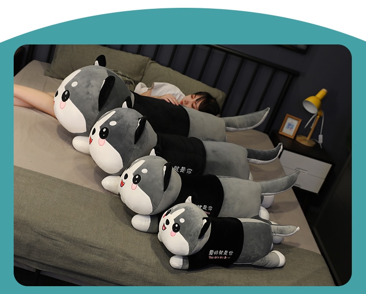 Gối Ôm Gấu Bông Mèo Husky Mắt Tròn Đáng Yêu Vải Nhung Co Dãn 4 Chiều Hàng Cao Cấp
