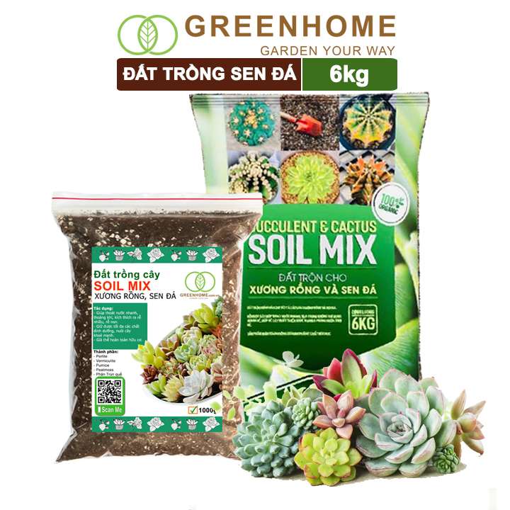 Đất trồng Sen đá Soil Mix, bao 1kg, đầy đủ dinh dưỡng, thoát nước tốt, Sen đá bền màu |Greenhome