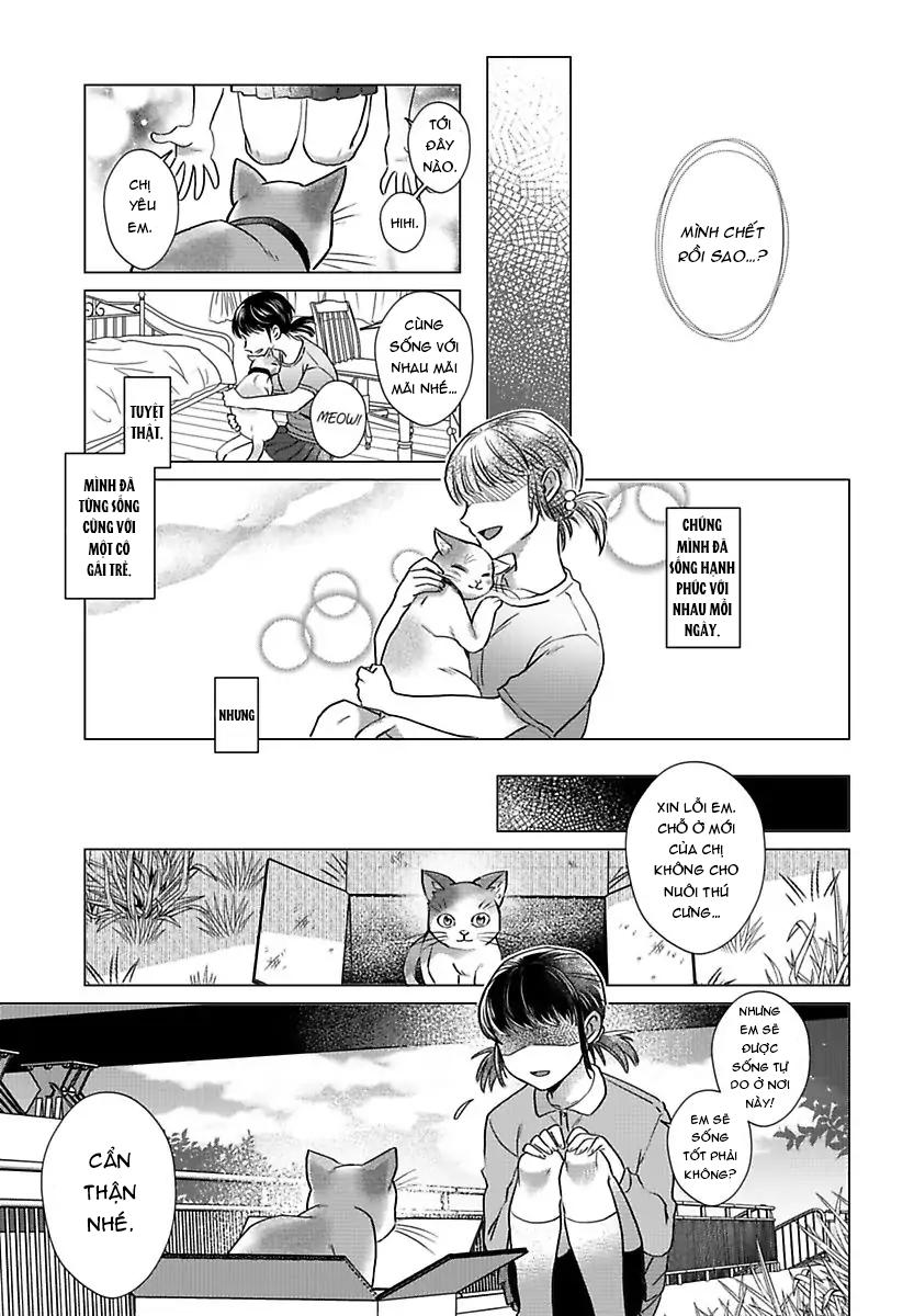 mofumofu bakashiai nikki chapter 3 8