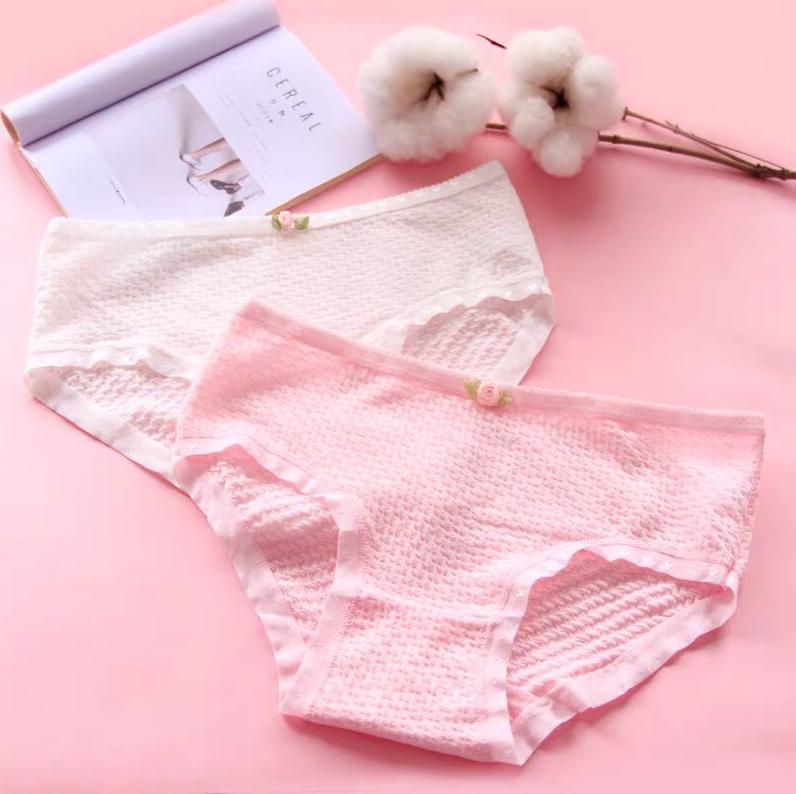 BỘ 5 QUẦN LÓT NỮ NƠ VẢI BÔNG