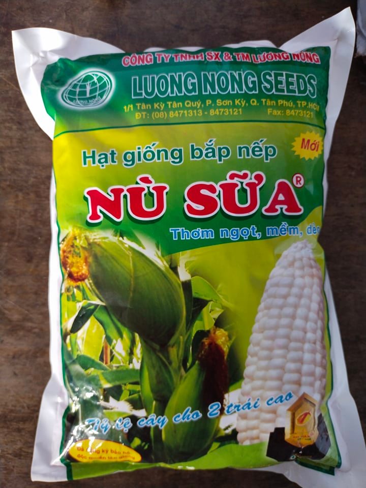 Hạt giống bắp nếp nù sữa dẻo gói 0,5kg