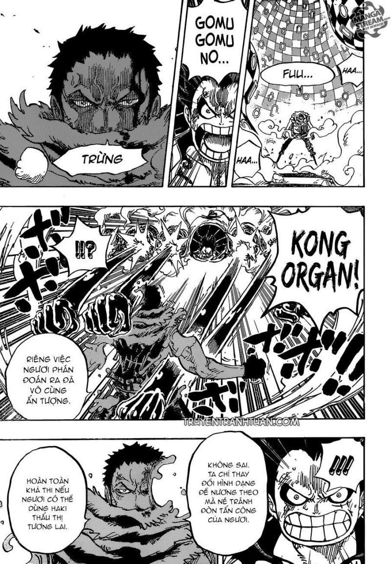 đảo hải tặc - one piece chapter 884 8