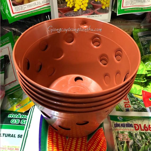 5 CHẬU NHỰA TRỒNG LAN GIẢ GỐM ĐẤT NUNG