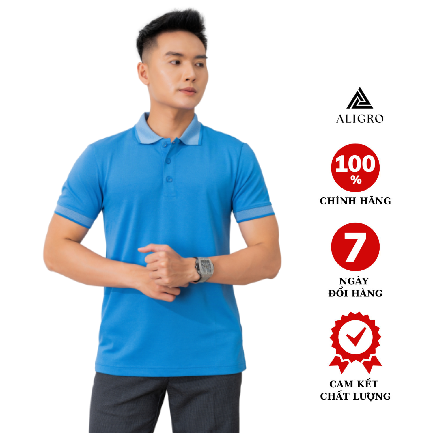 Áo phông polo nam - form to cộc tay  Xanh dương ALGPLO26