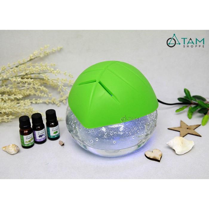 Set Hộp gỗ gồm 7 chai tinh dầu thiên nhiên Scentastic 10ml