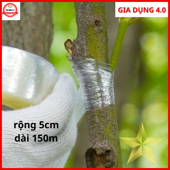 Băng keo ghép cành cây tự dính tự hủy -rộng 5cm dài 150m