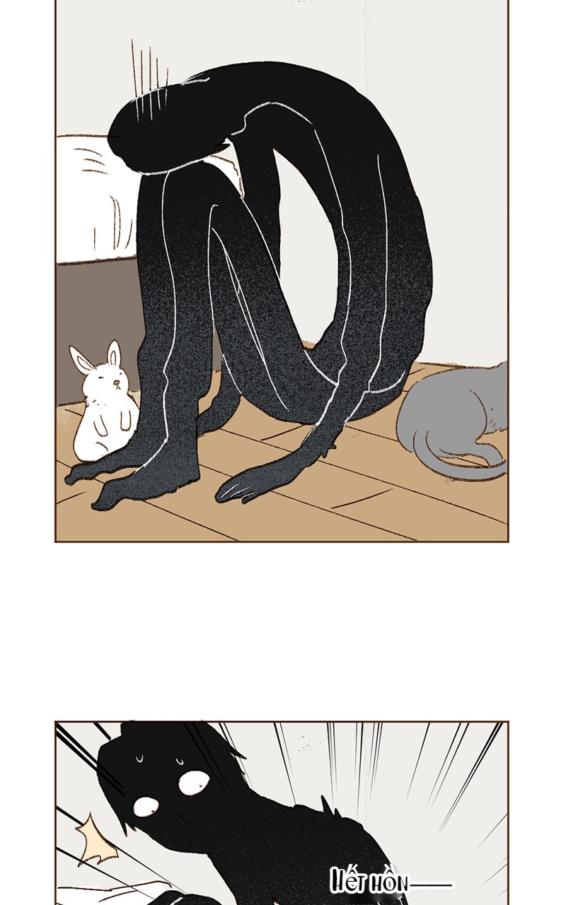 câu chuyện tình yêu kỳ lạ chapter 18 49