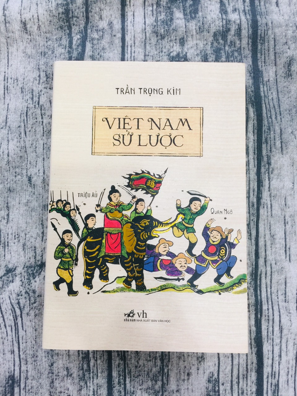 Việt Nam Sử Lược