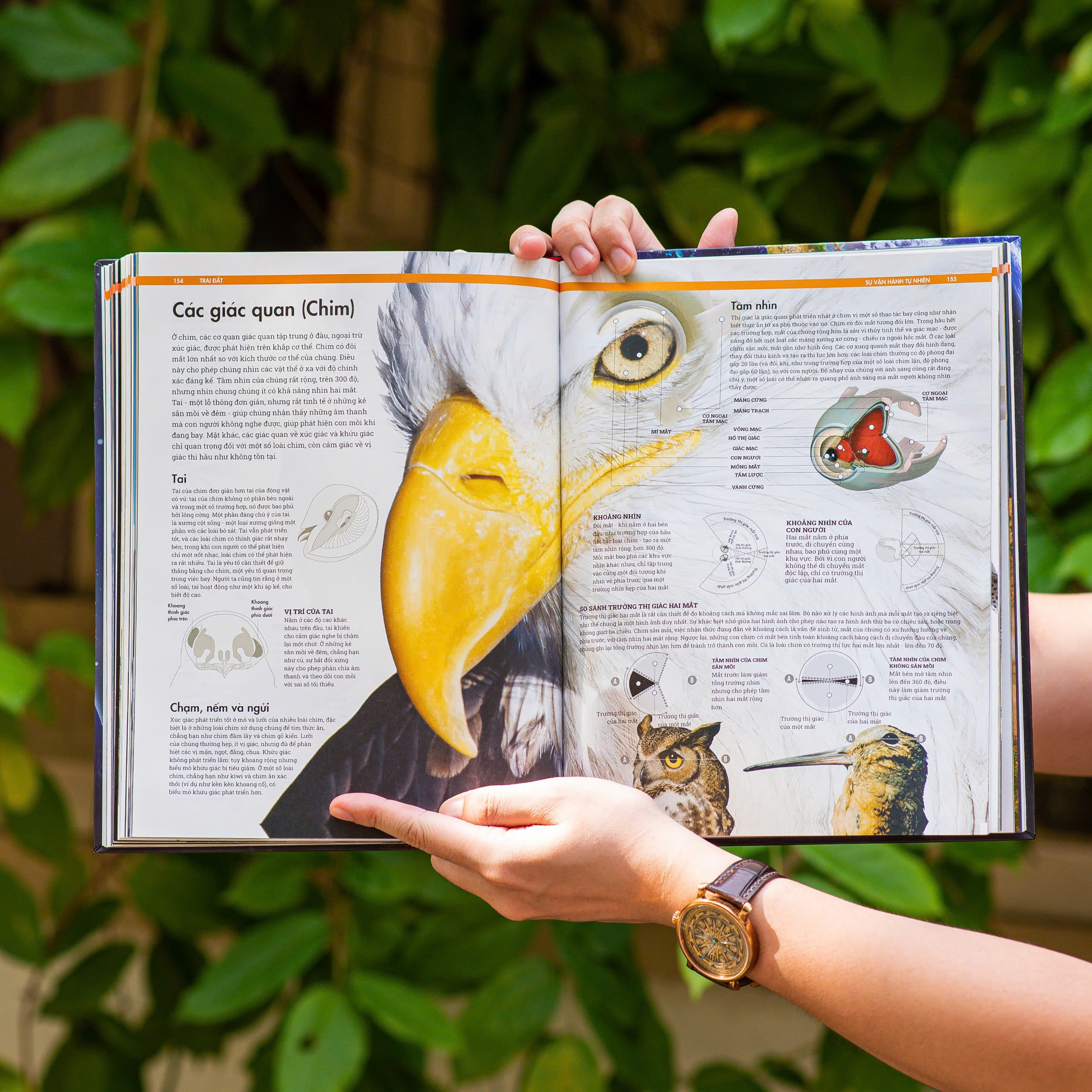 Sách Trái Đất - Sự Vận Hành Tự Nhiên - Vẻ Đẹp Của Trái Đất, Các Sự Biến Đổi Và Lịch Sử Hình Thành Của Trái Đất - Á Châu Books, Bìa Cứng, In Màu