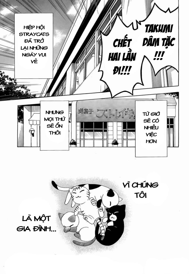 mayoi neko overrun! chapter 8 47