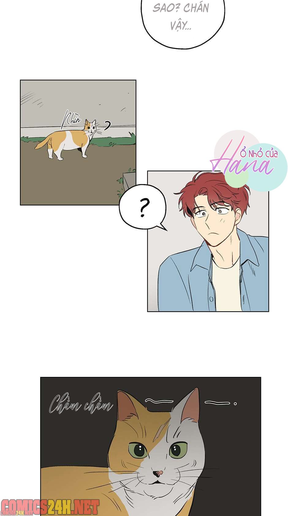 chỉ là giấc mơ thôi phải không? chapter 1 22