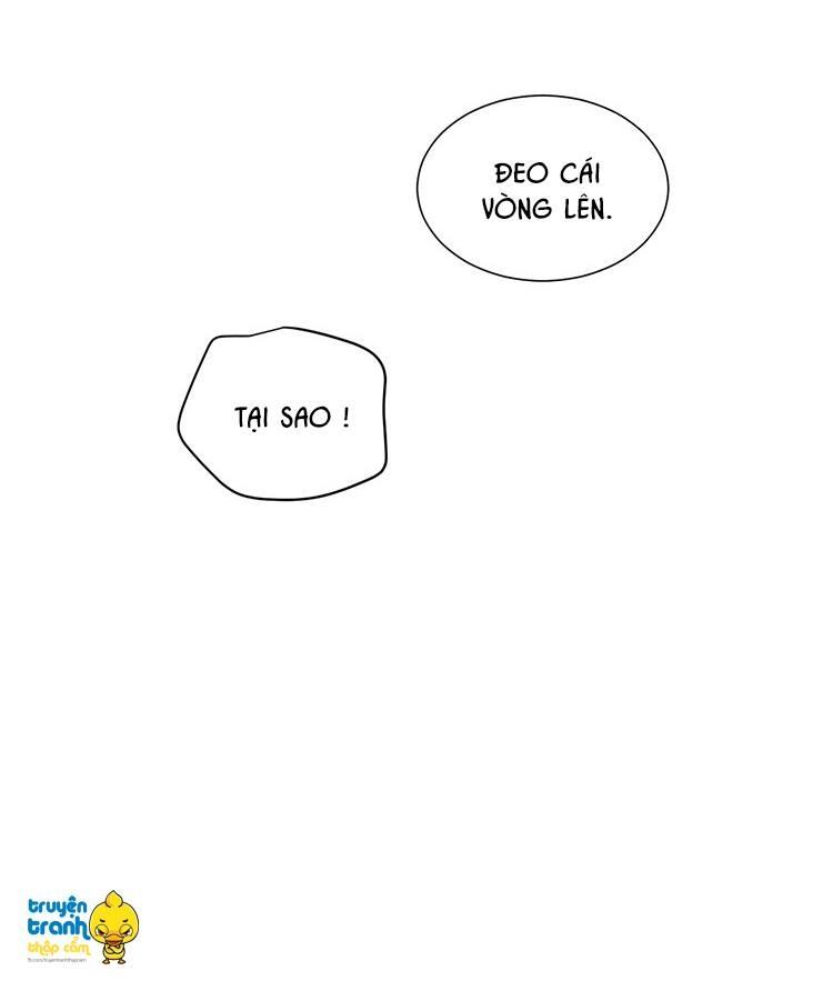 cứu mạng ! loài mèo thống trị thế giới rồi ! chapter 11 16