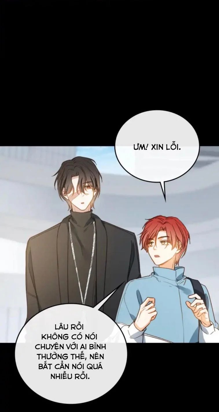 nụ hôn vực thẳm chapter 104 25