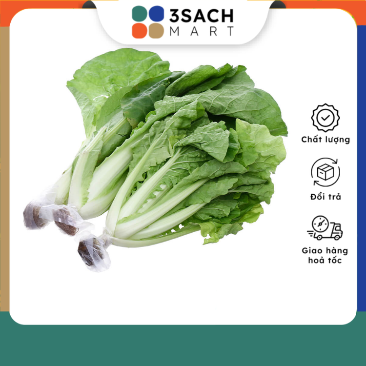 Cải Dún Thủy Canh Gói 300Gr