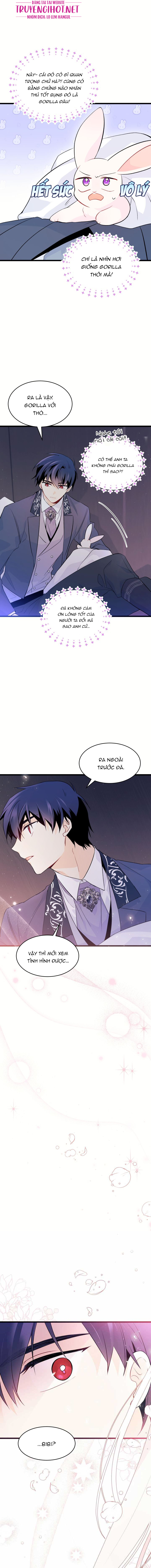 mối liên kết giữa báo đen và bé thỏ chapter 36.2 8