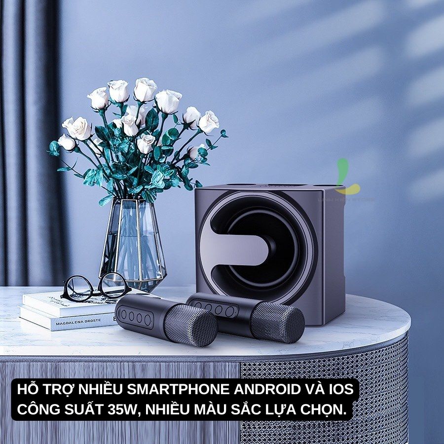 Loa Bluetooth Karaoke YS207 (YS-207) - Loa xách tay chất liệu nhựa cao cấp hiệu ứng đổi giọng, điều chỉnh echo, reverb, effect kèm 2 micro không dây