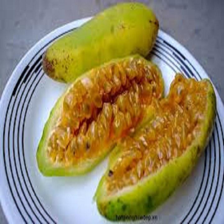 CÂY GIỐNG CÂY CHANH LEO CHUỐI NAM MỸ