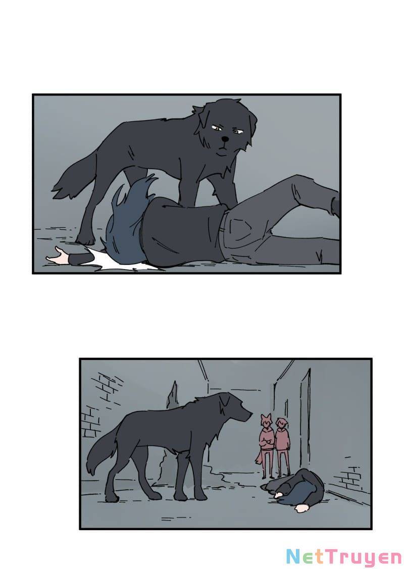 lumine - cội nguồn ánh sáng chapter 161 15