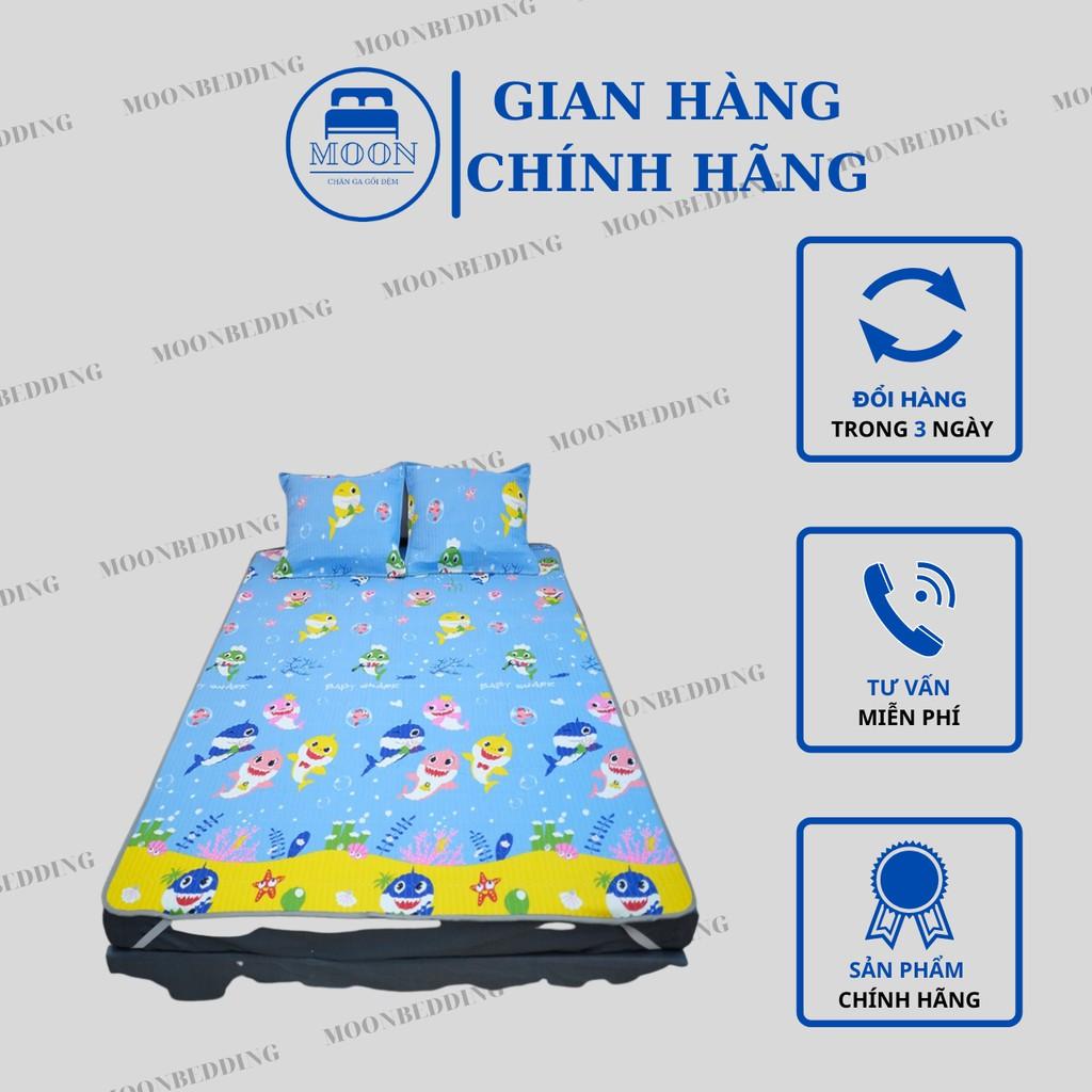 Chiếu Điều Hoà Cotton Đũi Đa Năng Cao Cấp ( Nhiều Hoạ Tiết