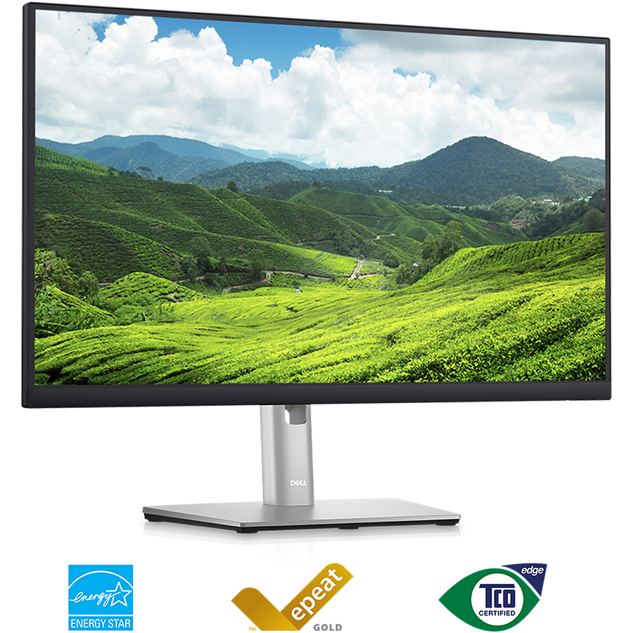 Màn hình Dell P2423D 23.8 inch 2K IPS 60Hz - Hàng Chính Hãng