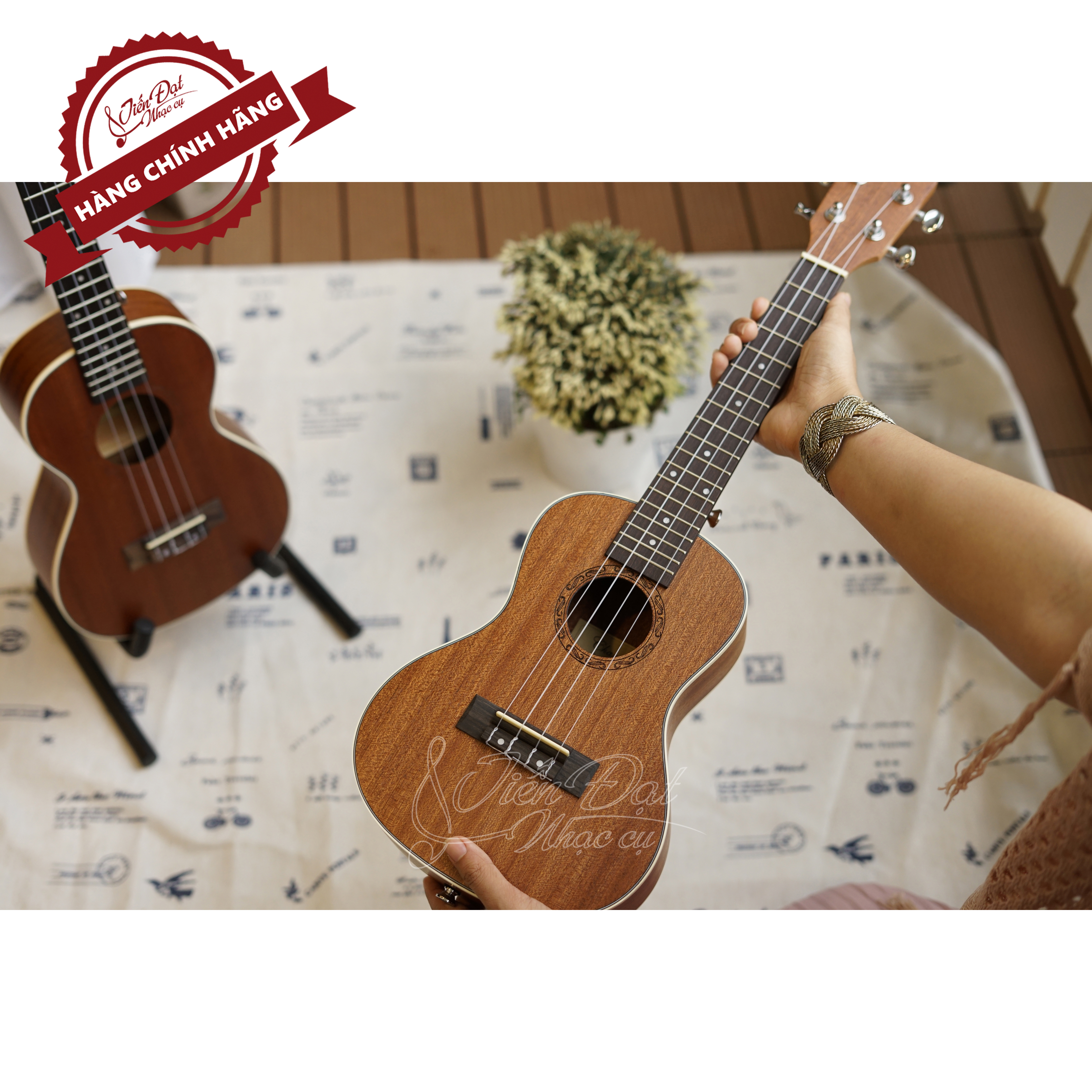 Đàn Ukulele Tenor CHARD U-26A, Gỗ Sapele