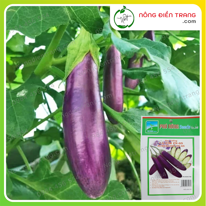 Hạt Giống Cà Tím Dài F1 Cao Sản Phú Nông - Gói 0.2g - Giống Tốt Sai Quả Dễ Trồng Trồng Quanh Năm Độ Nảy Mầm Cao VTNN Nông Điền Trang