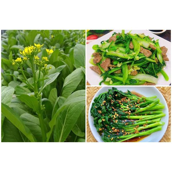 Hạt giống rau cải ngồng, đóng gói 20gr