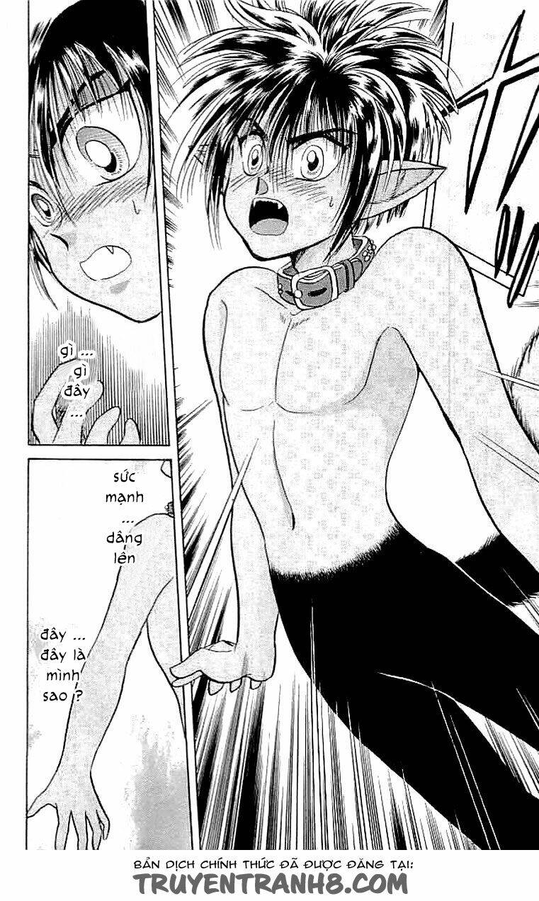 wild half chapter 6 12