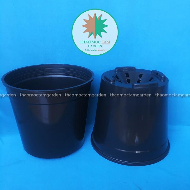 05c Chậu nhựa cứng 22x20cm – Chậu nhựa cứng, dày thích hơp trồng hoa hồng, cây hoa, cây kiểng