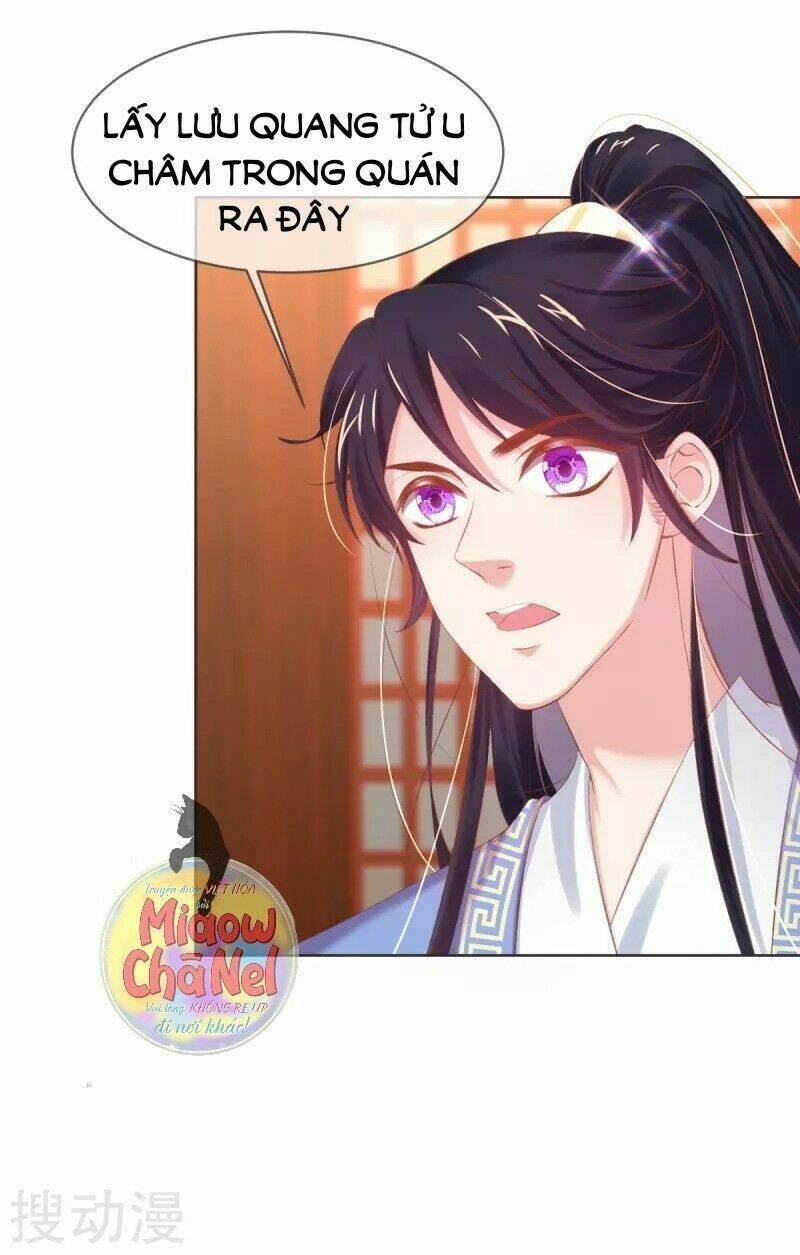 thị huyết y phi chapter 32 41