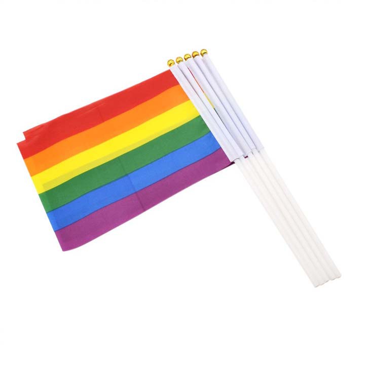 Cờ cầm tay LGBT Lục Sắc (21*14 CM)