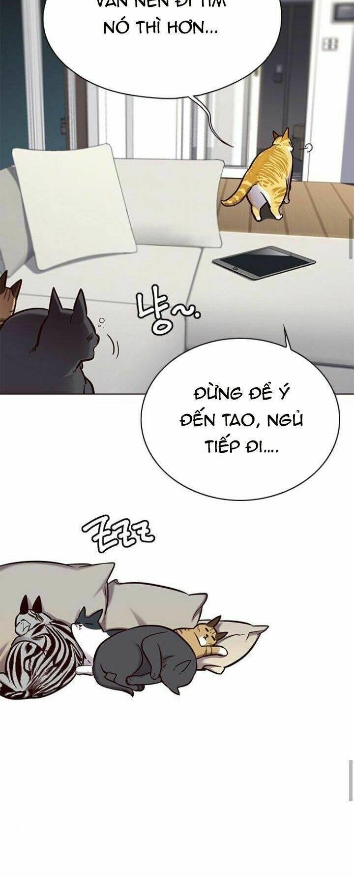 biến thân thành mèo chapter 125 64