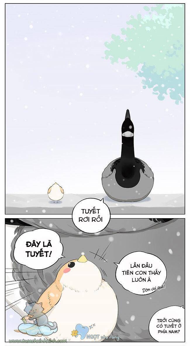 chim sẻ gọi ngỗng trời chapter 5 4