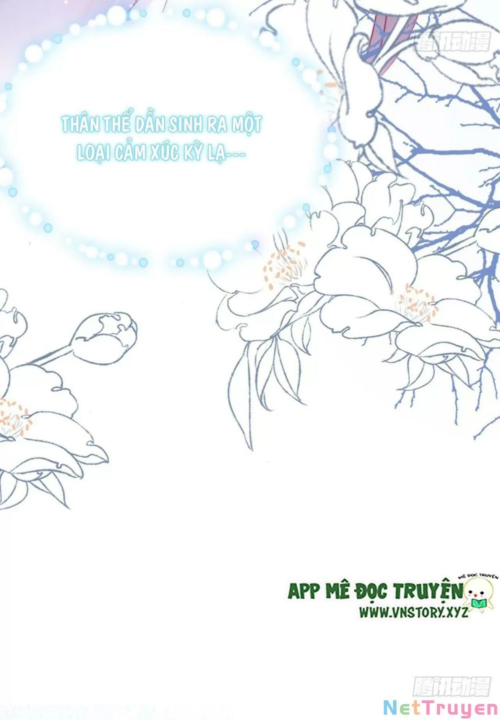 lại bị bệnh chiều chuộng quấn lấy chapter 62 7