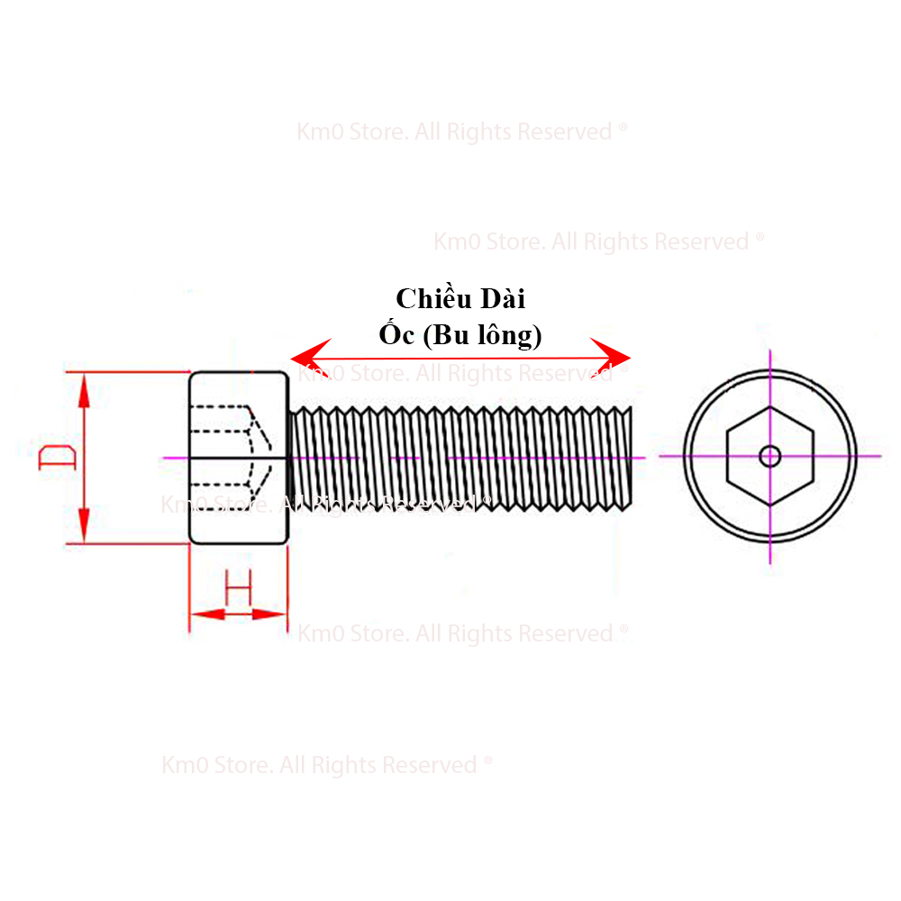 Bulon (Ốc) Lục Giác INOX 304 ĐẦU TRỤ M10 CD1057