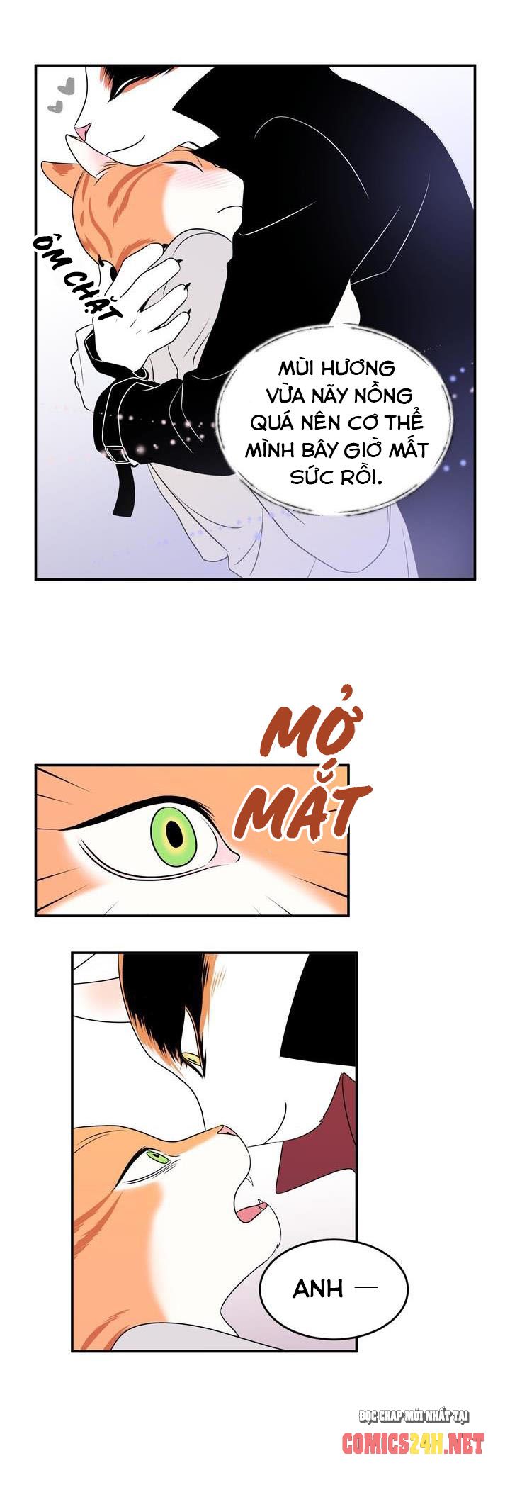 dự án xanh chapter 1 19