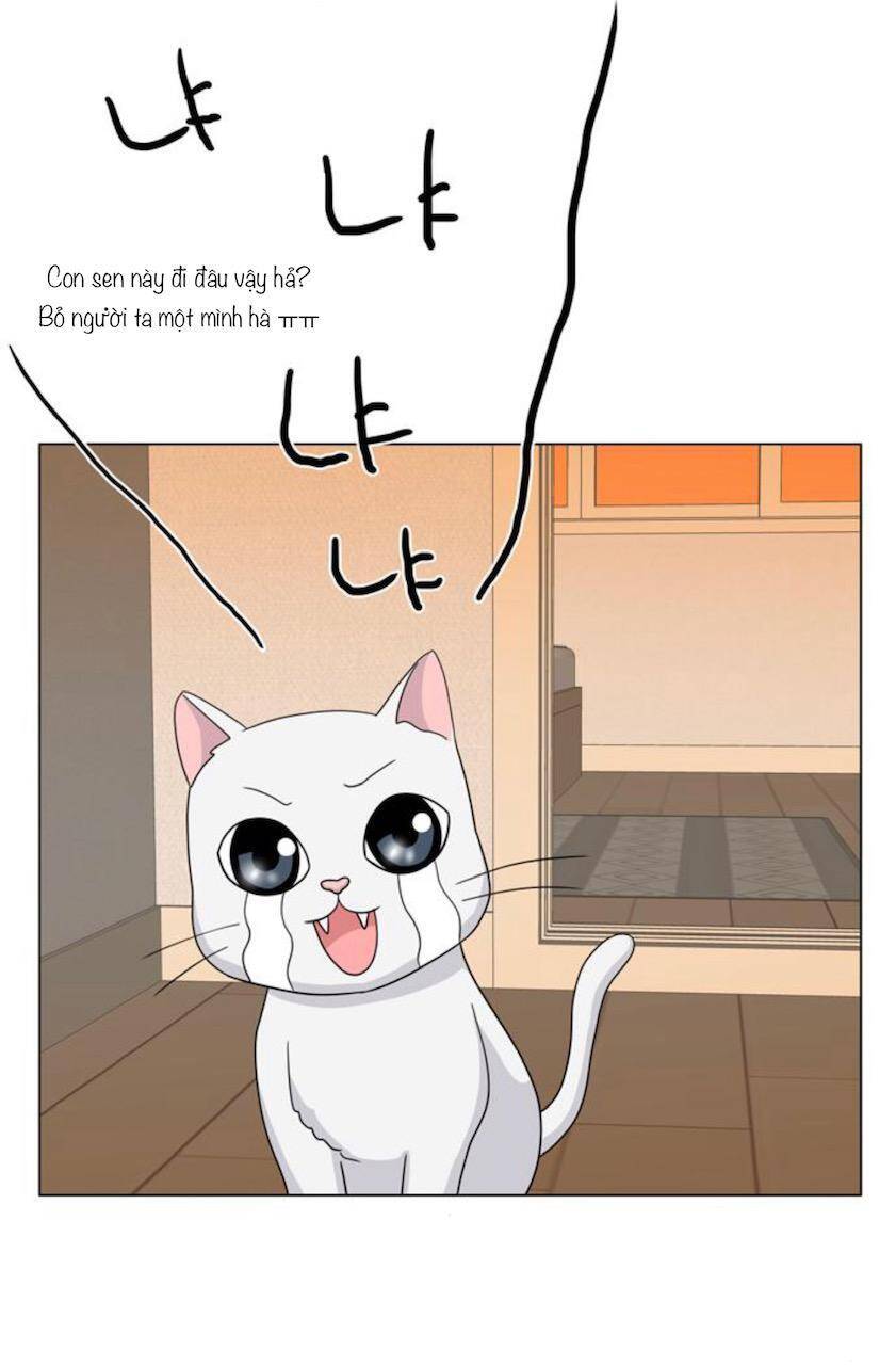 idol và sếp, em yêu ai? chapter 68 5