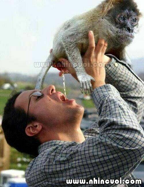 hình ảnh hài hước new chapter 14 23