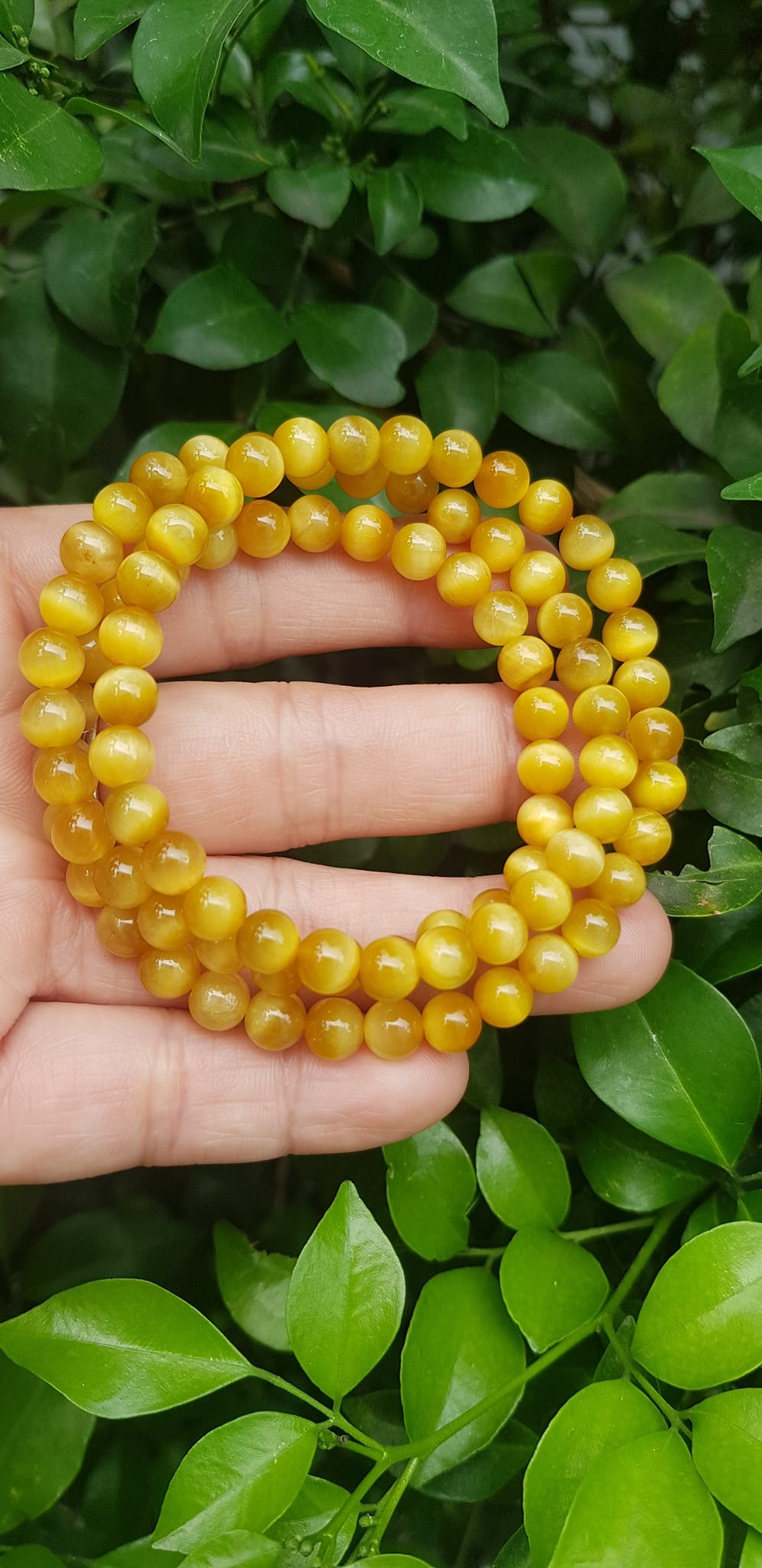 Vòng tay nữ đá mắt hổ tự nhiên vàng anh vip 6mm quấn tay 3 vòng đẹp vòng màu vàng anh tươi đẹp hợp nữ mệnh kim mệnh thổ mệnh thuỷ đeo tay may mắn xinh đẹp sang tay ạ
