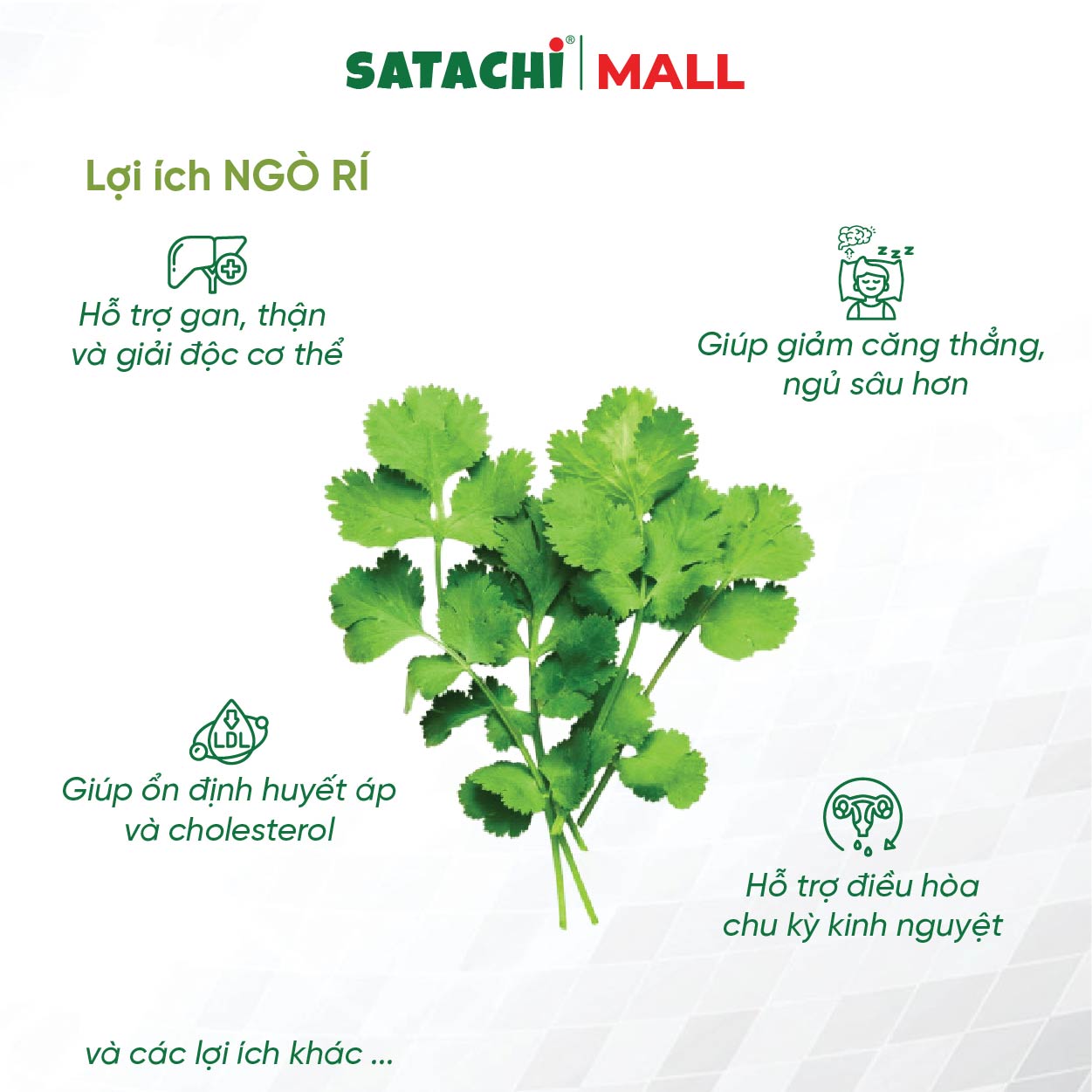 Viên Bột Ngò Rí Nguyên Chất SATACHI – 100% Từ Ngò Rí – Dạng Viên Tiện Lợi – Hộp 180 viên