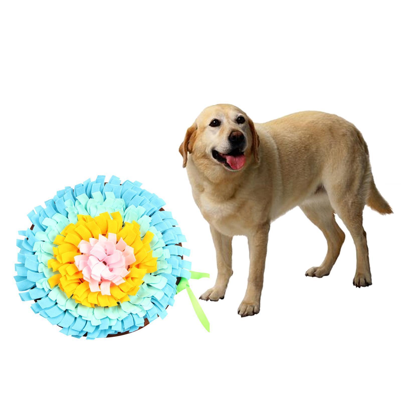 Pet Puppy Dog   Slow Feeder Foraging Skill