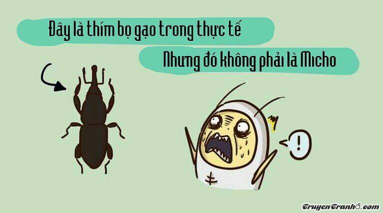 đơn giản là micho chapter 1 2