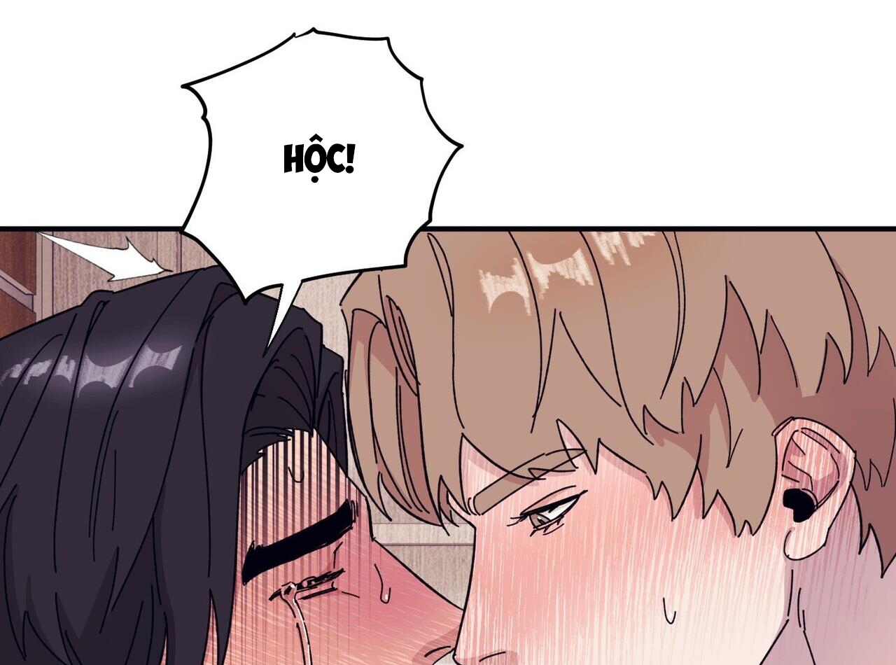 chàng dâu nhà họ kang chapter 44 84