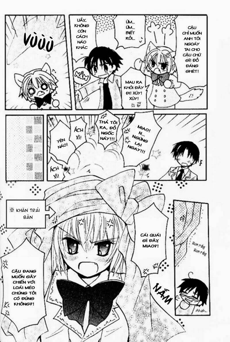 boku x neko? chapter 4 16