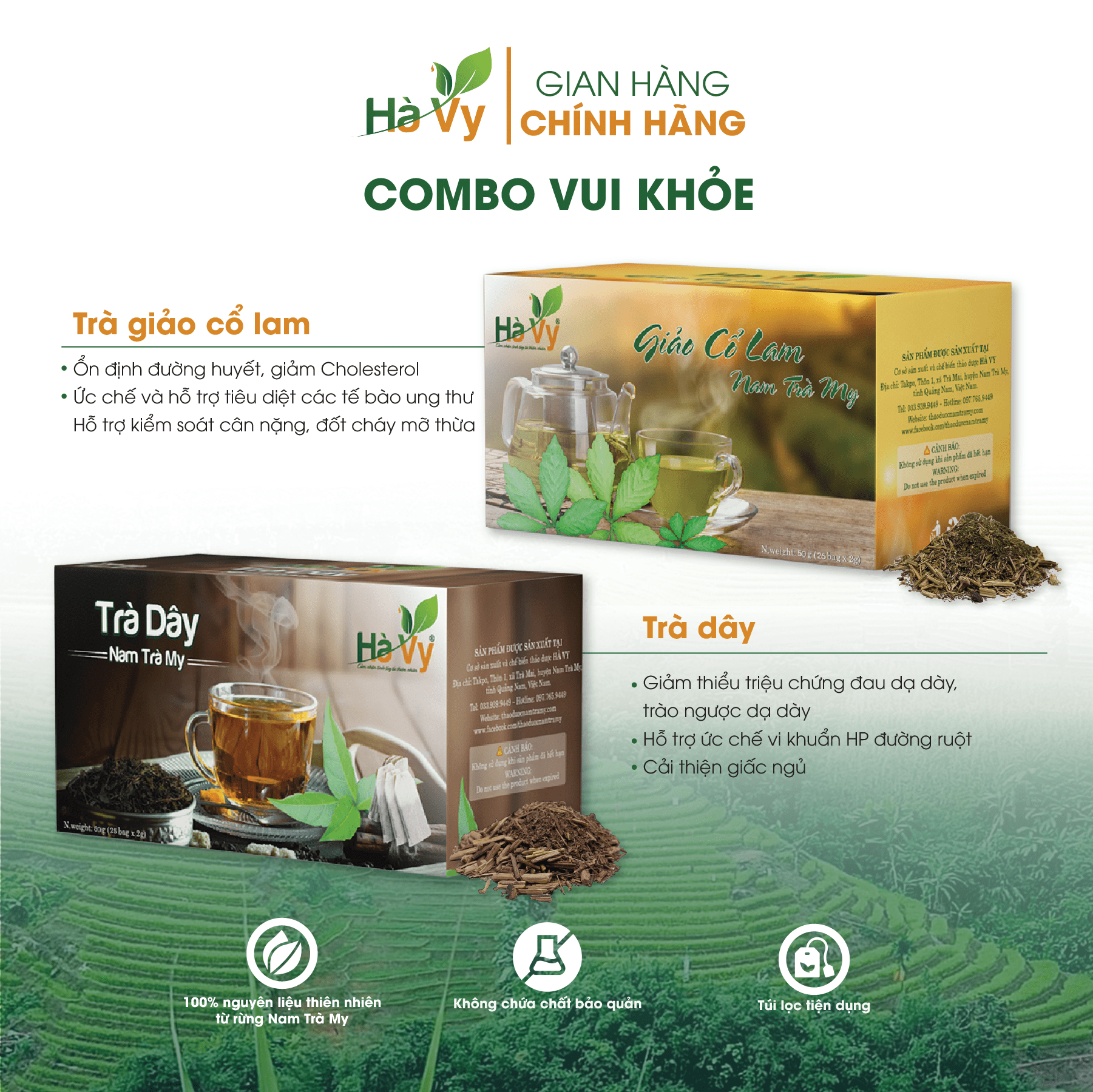 Combo Trà Giảo Cổ Lam &amp; Trà Dây Nam Trà My Hà Vy hỗ trợ làm đẹp da, hỗ trợ giảm cân, hỗ trợ điều trị bệnh dạ dày hiệu quả (set 2 hộp trà túi lọc)