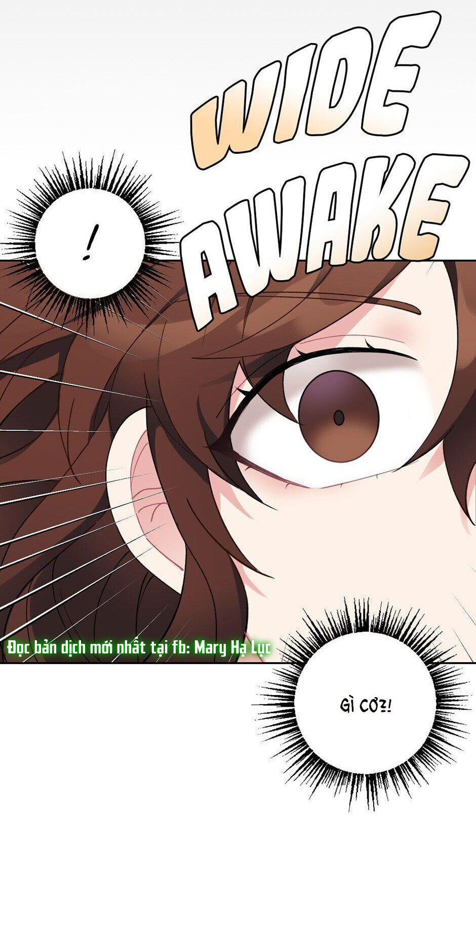 tiểu thư và dàn hầu nam mlem chapter 25 5