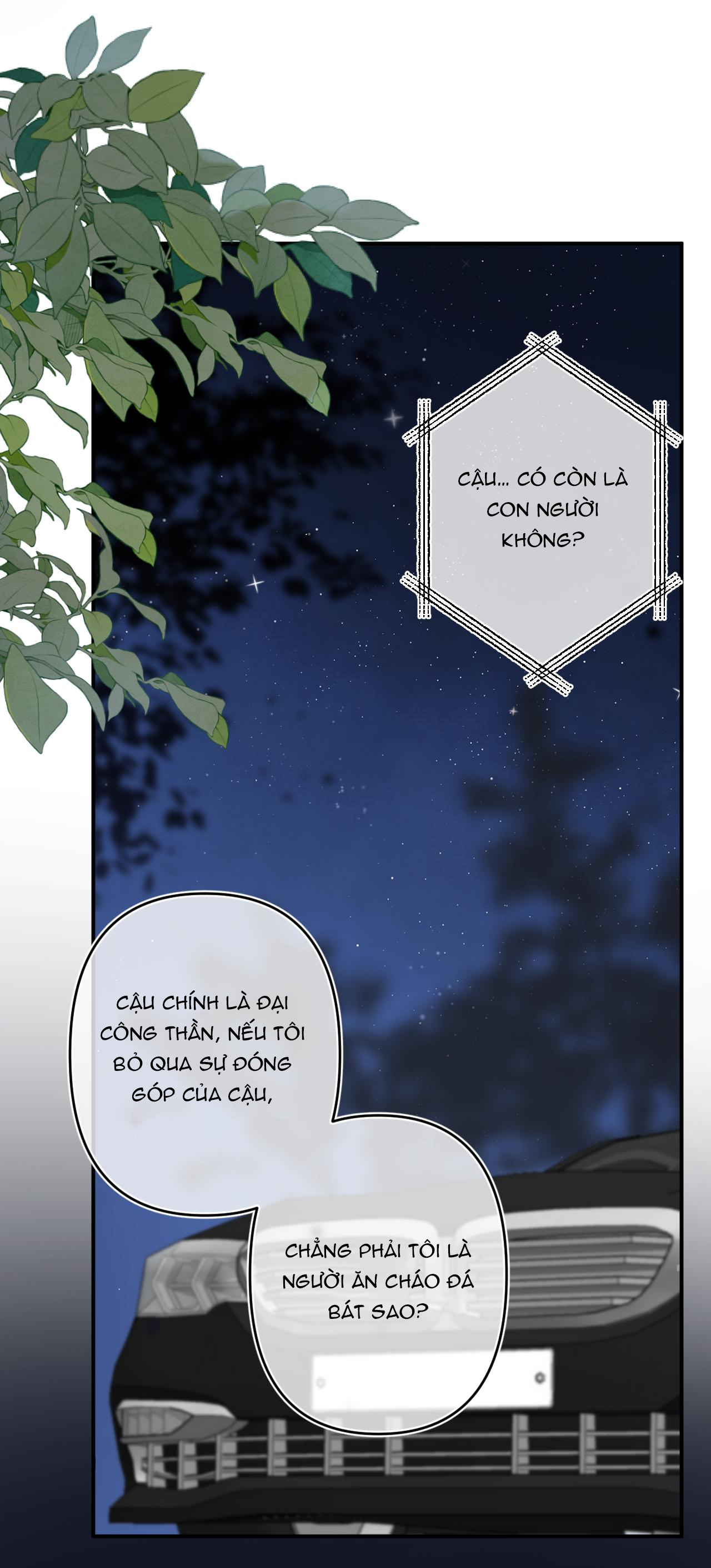 vụng trộm không thể giấu - mối tình thầm kín chapter 95.1 5